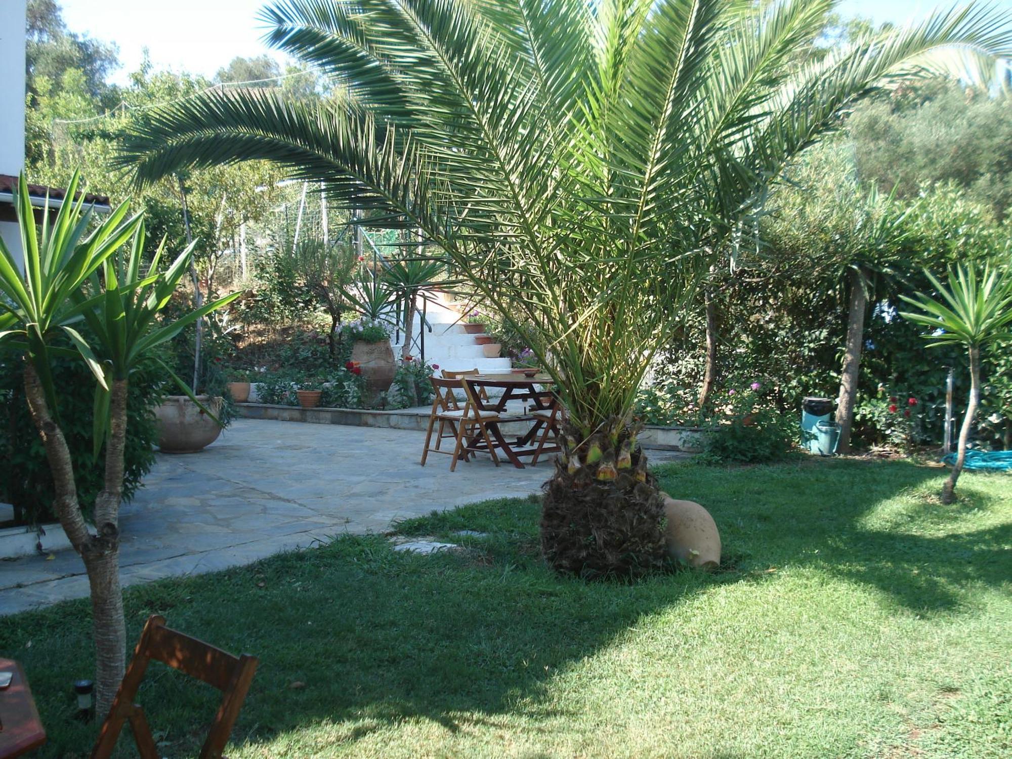Villa Avra Dassia  Bagian luar foto