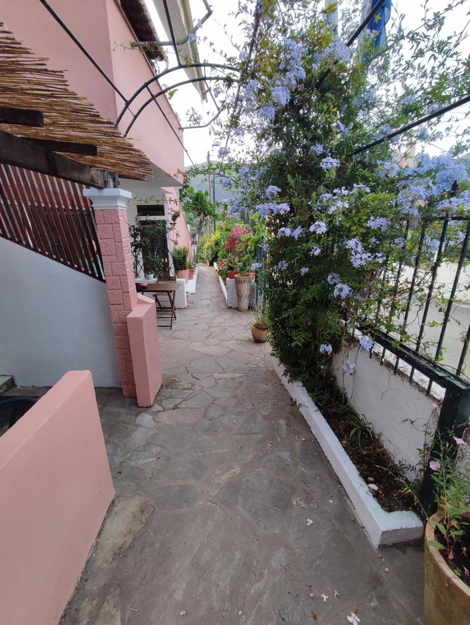 Villa Avra Dassia  Bagian luar foto
