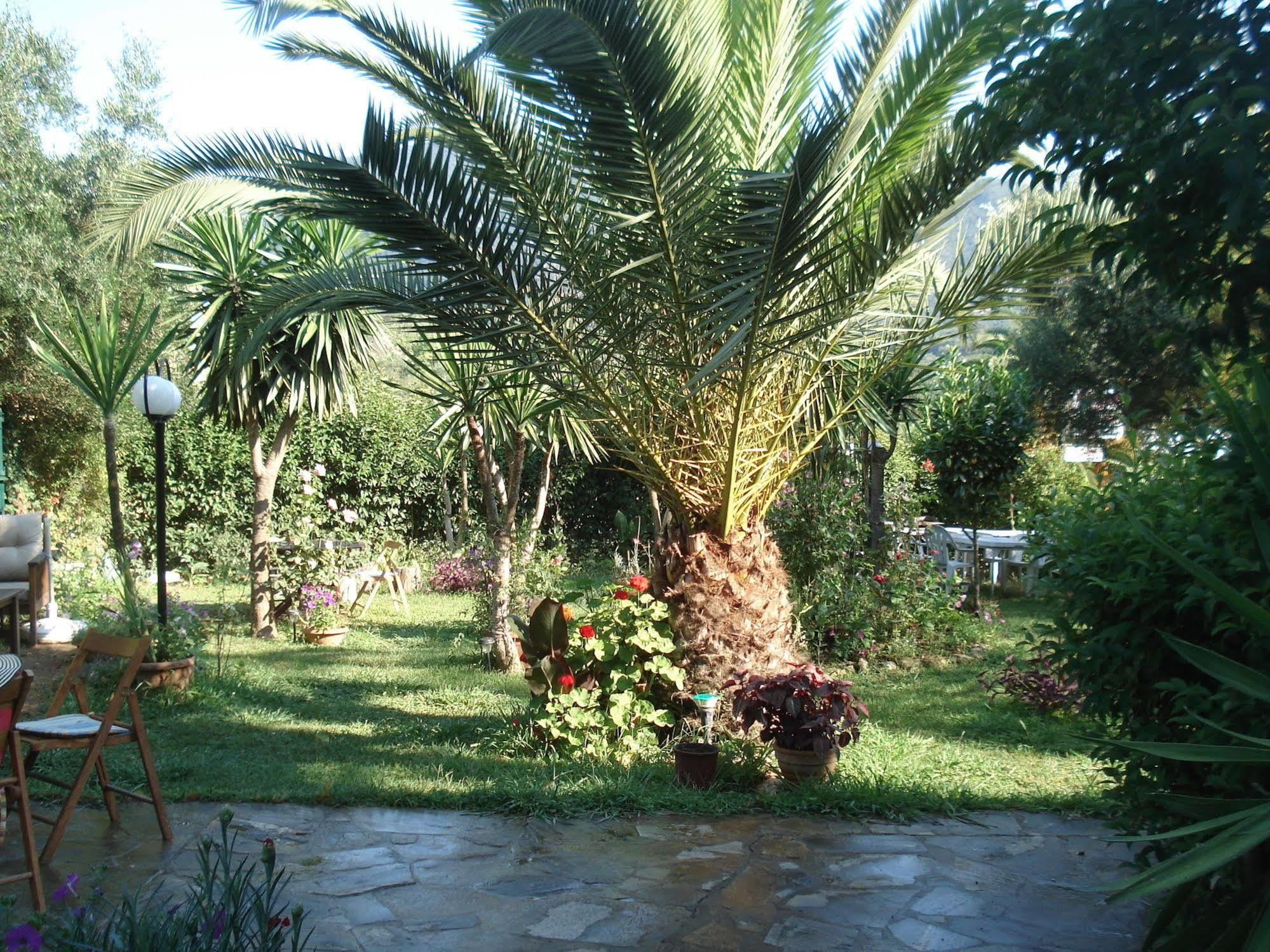 Villa Avra Dassia  Bagian luar foto