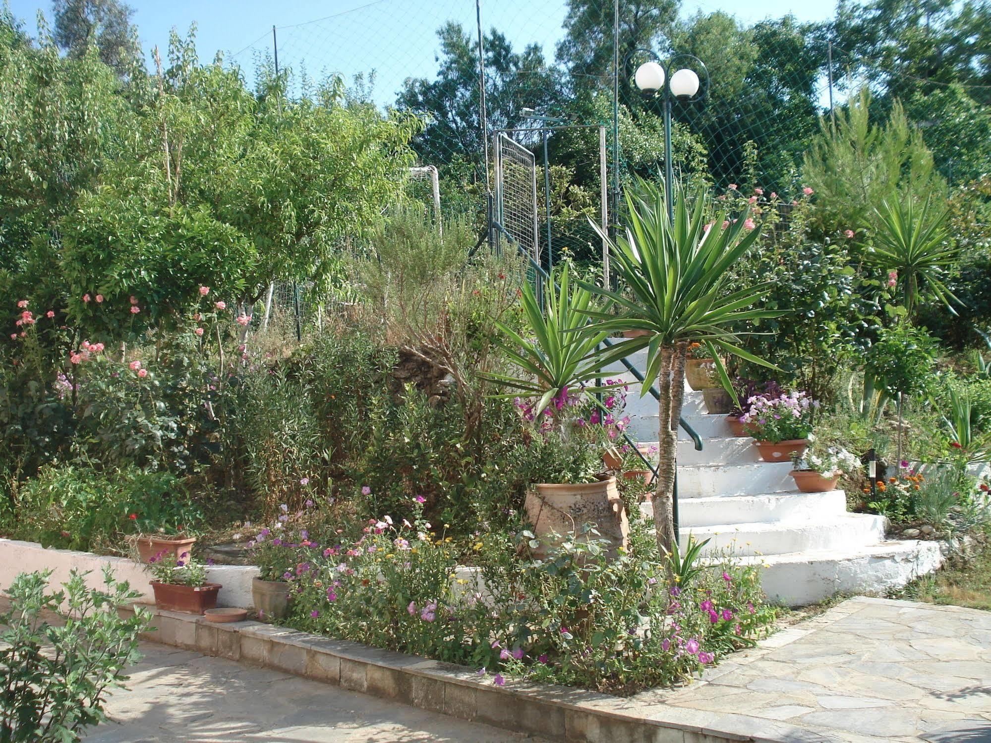 Villa Avra Dassia  Bagian luar foto